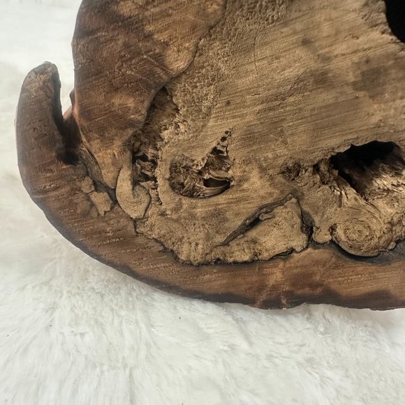 Vintage Cypress Knee Tree Stump Tree Root Sculpture BoHo MCM natures art - Picture 4 of 7